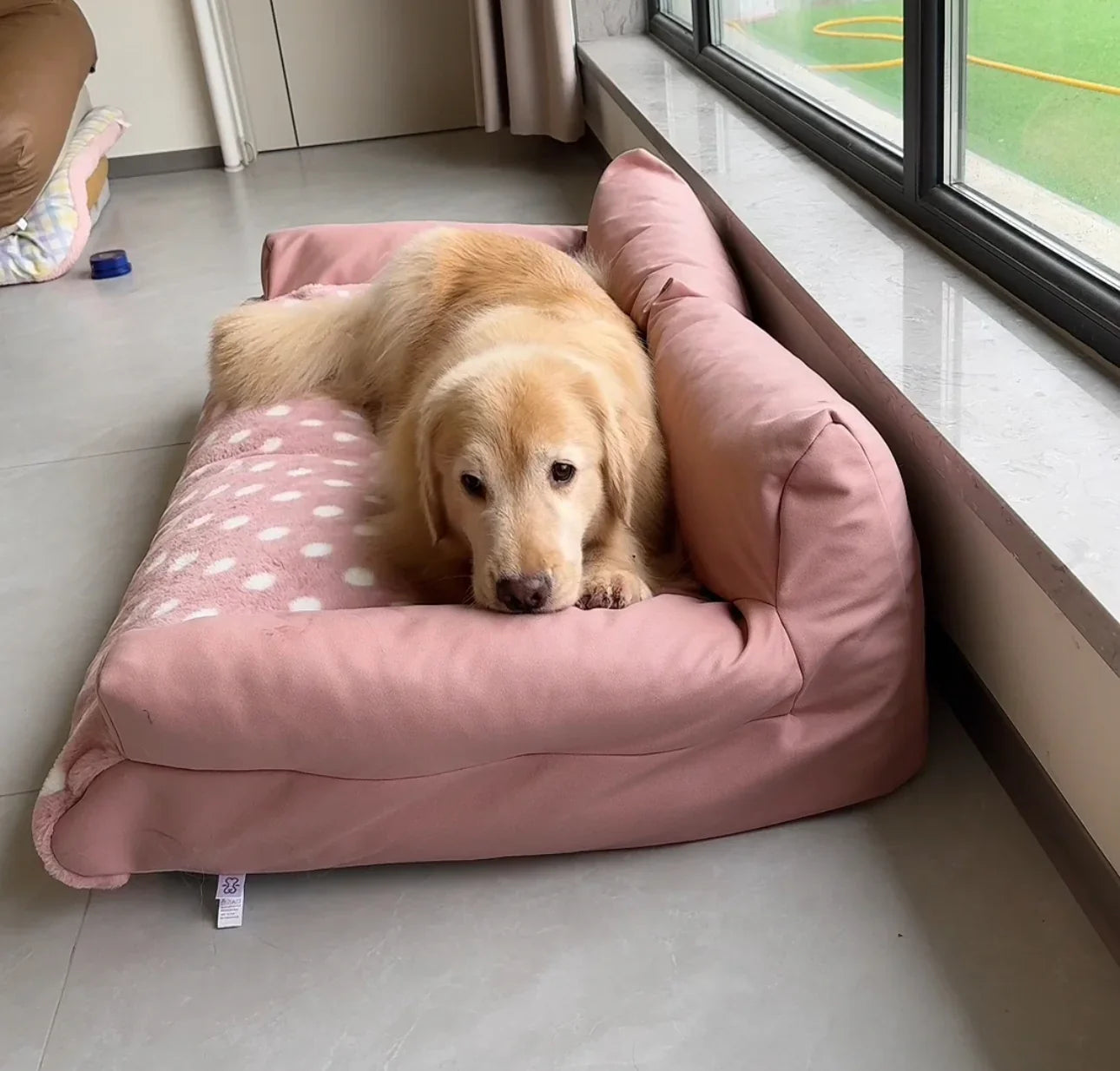 Squishy Bed