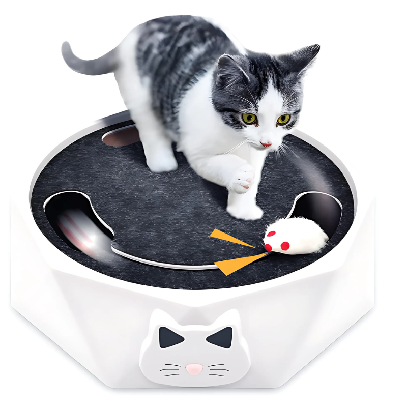 ClawTrek - Irresistible Interactive Mouse Toy for Cats