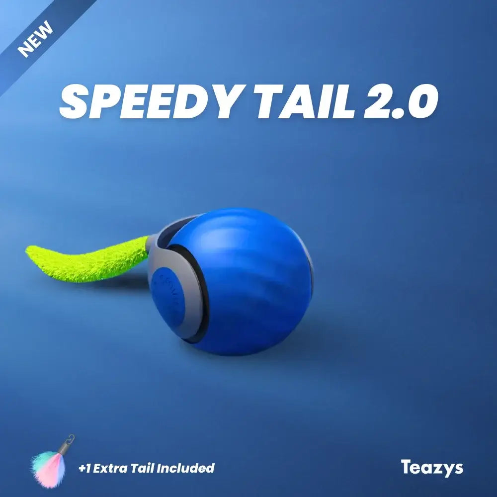 Interactive Rechargeable Cat Toy Ball