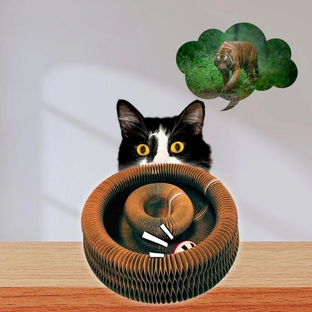 CutySpiral™