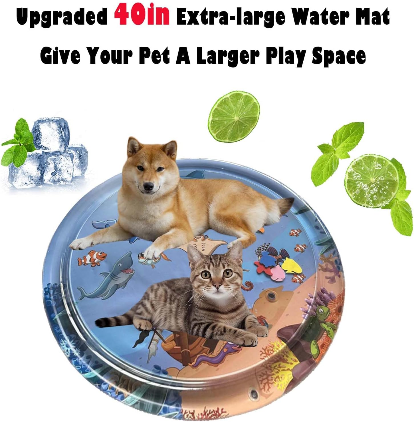Ocean Breeze Splashland - DogPlaybox