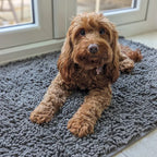 CutyPet™ Carpet