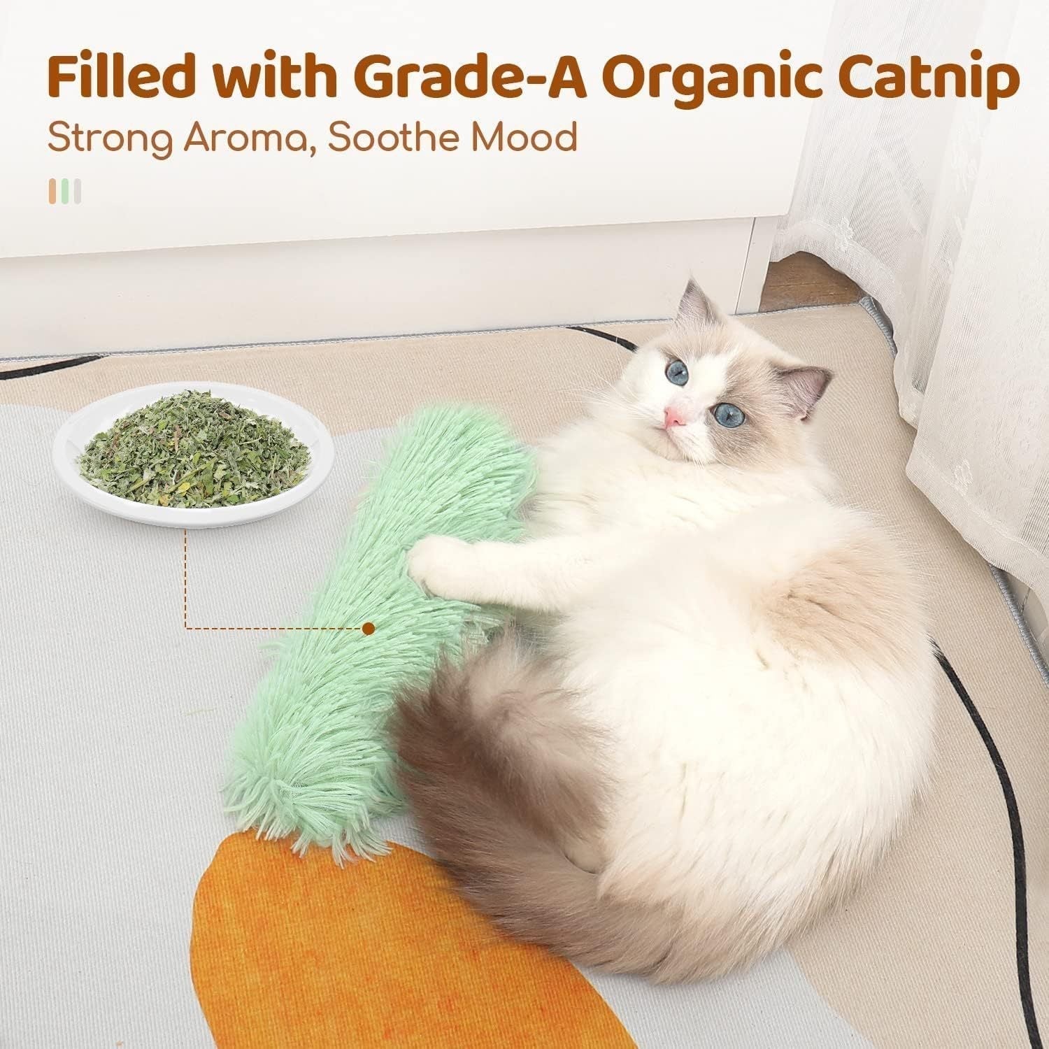 PawsJoy™ Active Happy Cat
