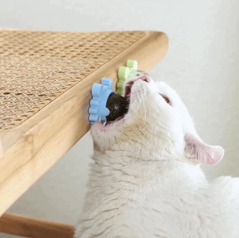 Catcrack Balls