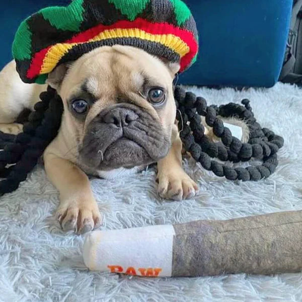 Paw Doobie Toy