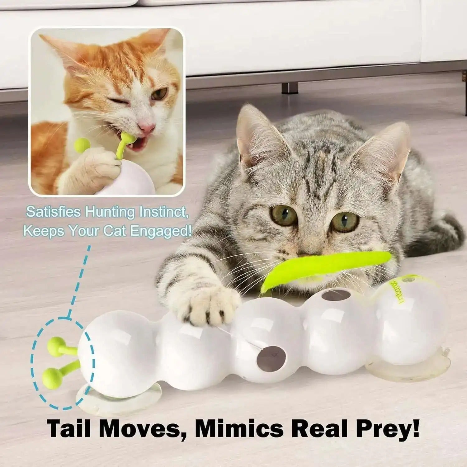Purrworm – Interactive Cat Toy with Worm Motion