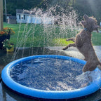 CutySplash™